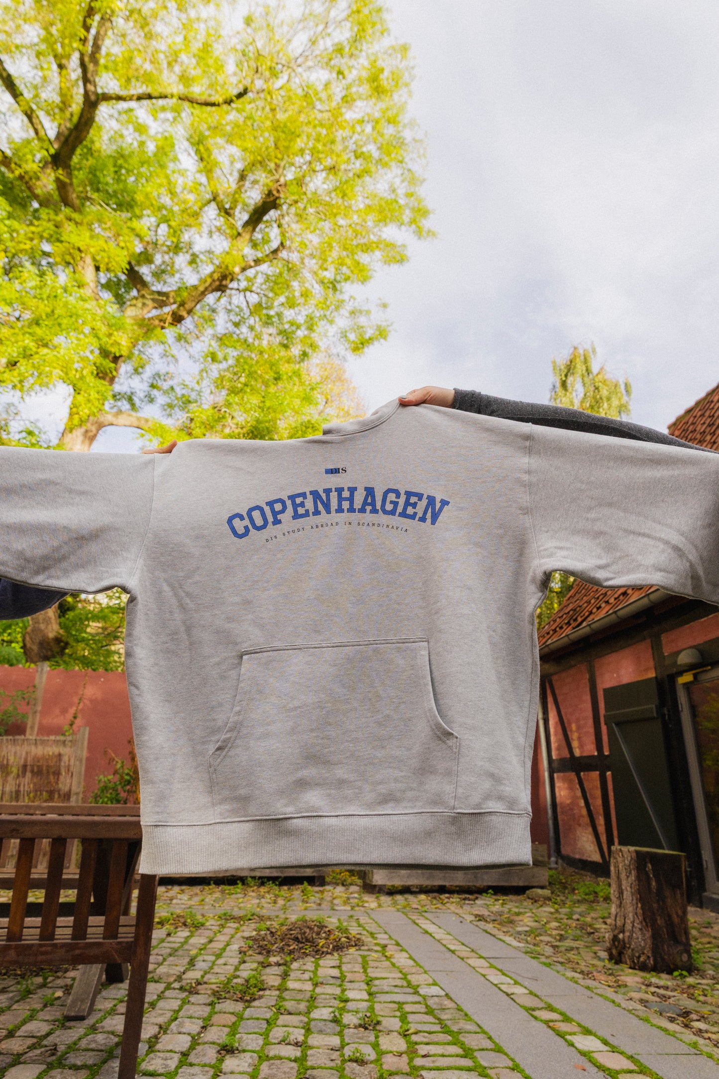 Copenhagen College Hoodie (Pre-order)