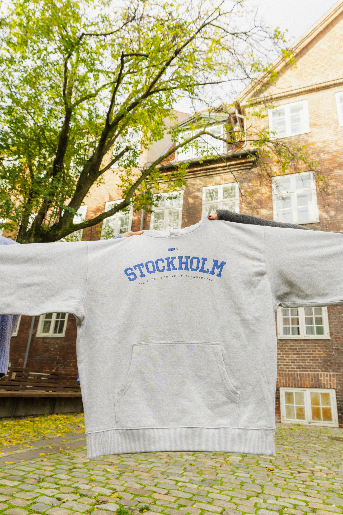 Stockholm College Hoodie (Pre-order)